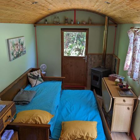 Rosa The Cosy Cabin - Gypsy Wagon - Shepherds Hut, River Views Off-Grid Eco Living Pedrogao Grande Buitenkant foto