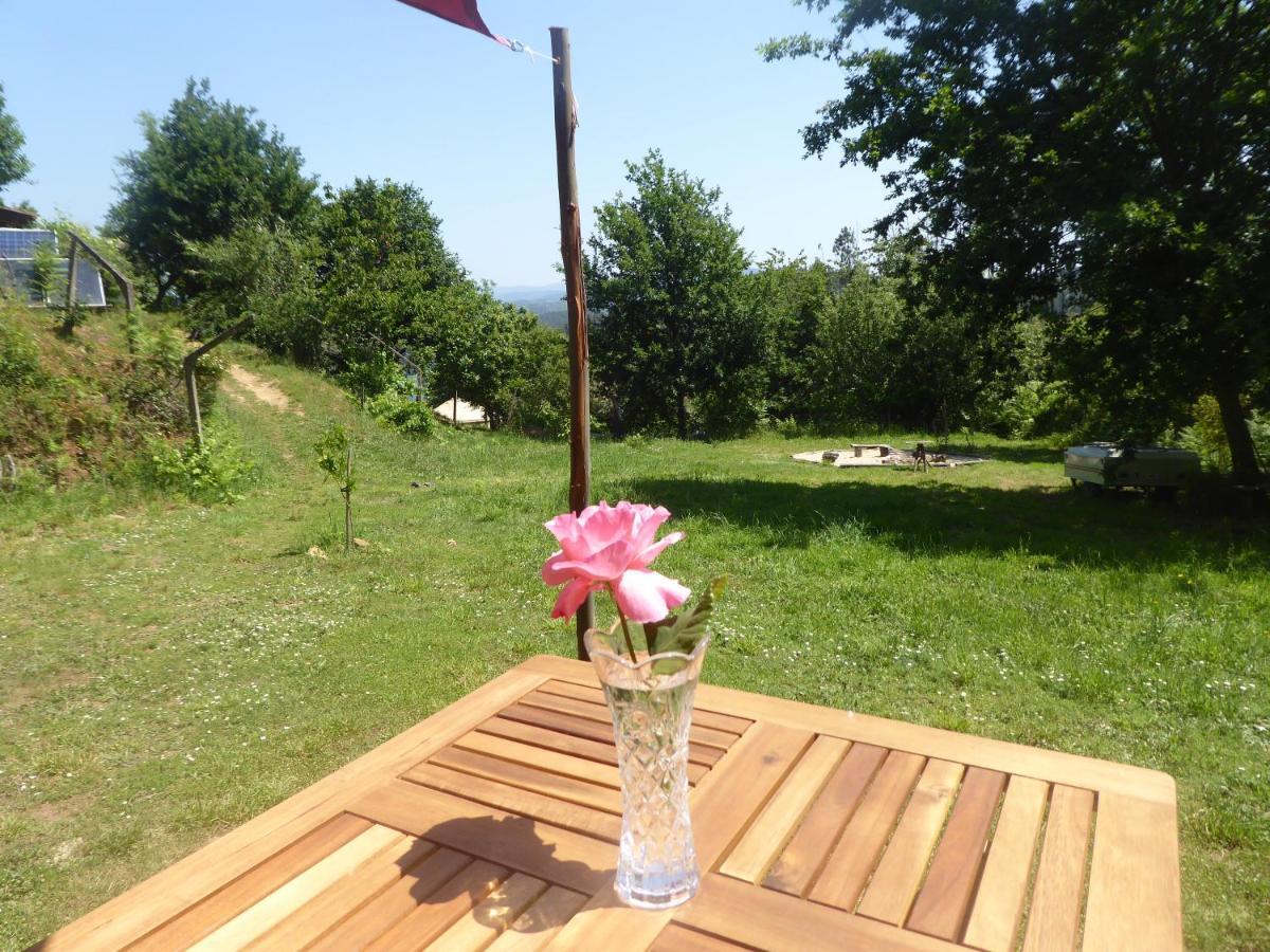 Rosa The Cosy Cabin - Gypsy Wagon - Shepherds Hut, River Views Off-Grid Eco Living Pedrogao Grande Buitenkant foto