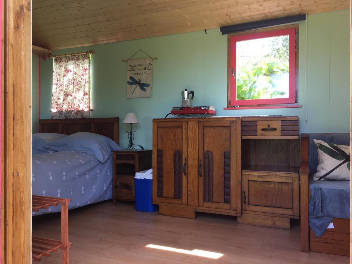 Rosa The Cosy Cabin - Gypsy Wagon - Shepherds Hut, River Views Off-Grid Eco Living Pedrogao Grande Buitenkant foto