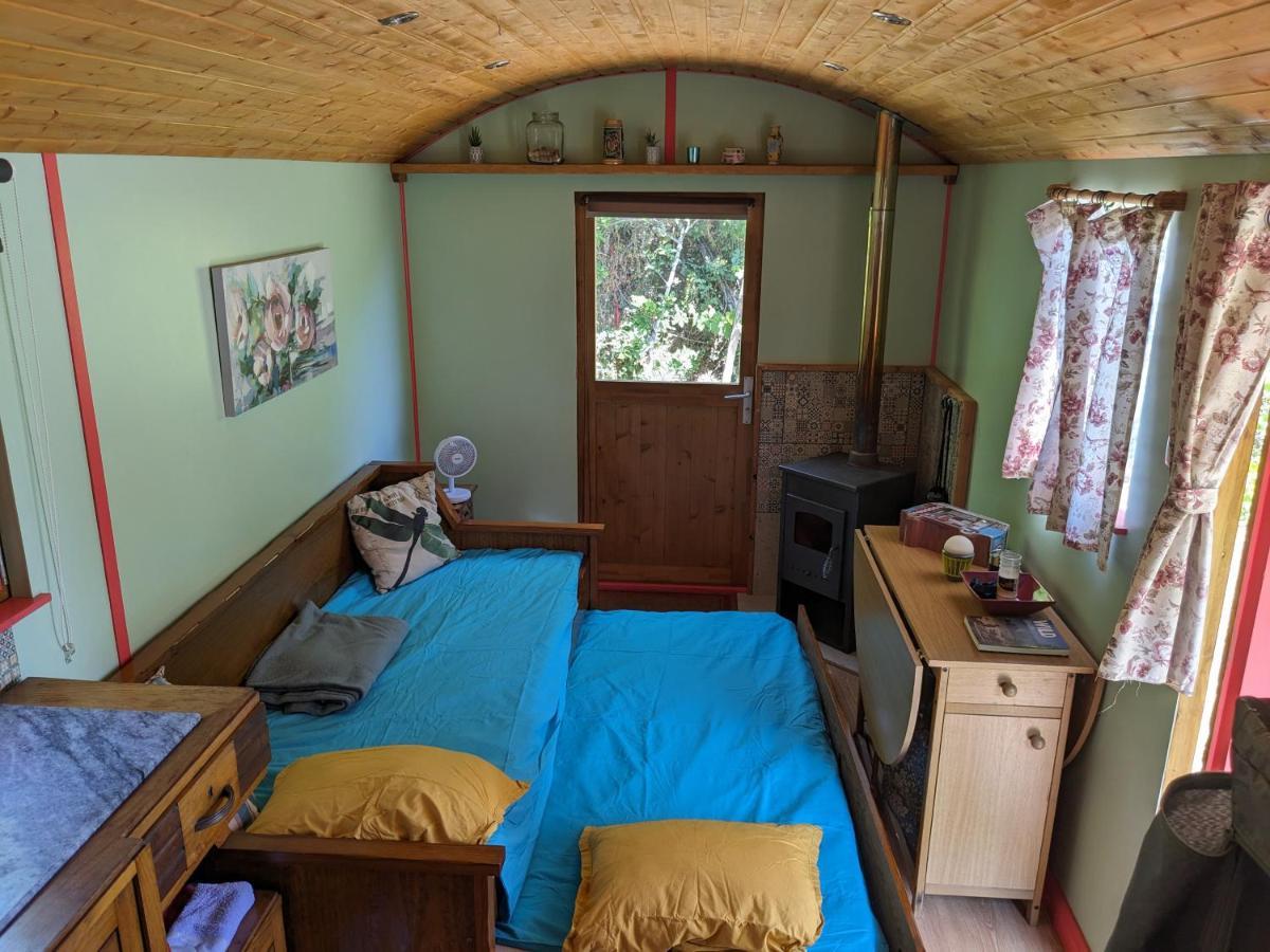 Rosa The Cosy Cabin - Gypsy Wagon - Shepherds Hut, River Views Off-Grid Eco Living Pedrogao Grande Buitenkant foto